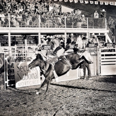 Slo Mo Rodeo