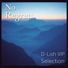 No Regrets - Melodic House Selection
