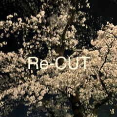 Re-Cut #recyclethebeat