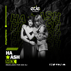 Ha*Ash Mix - Ede DJ