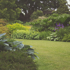 Wonga Garden