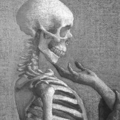 IM SORRY MY SQUIRE COMPOSITION