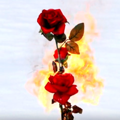 I STILL BELIEVE THERE'S BEAUTY IN CHAOS