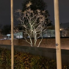 SONAS - On The Brink