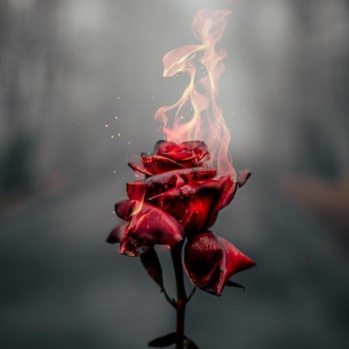 Tóth Andi - Néztek