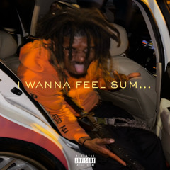 feel sum