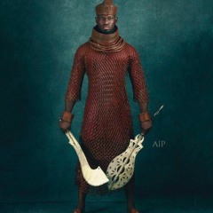 The Nigerian Space Program