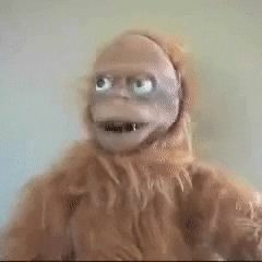 JackMonkey By Chuck Reid