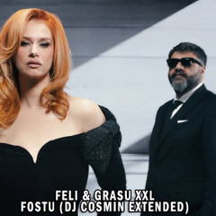 Grasu XXL & Feli - Fostu'- DJ COSMIN EXTENDED