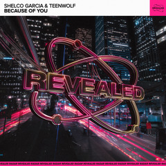 Because Of You (Extended Mix)