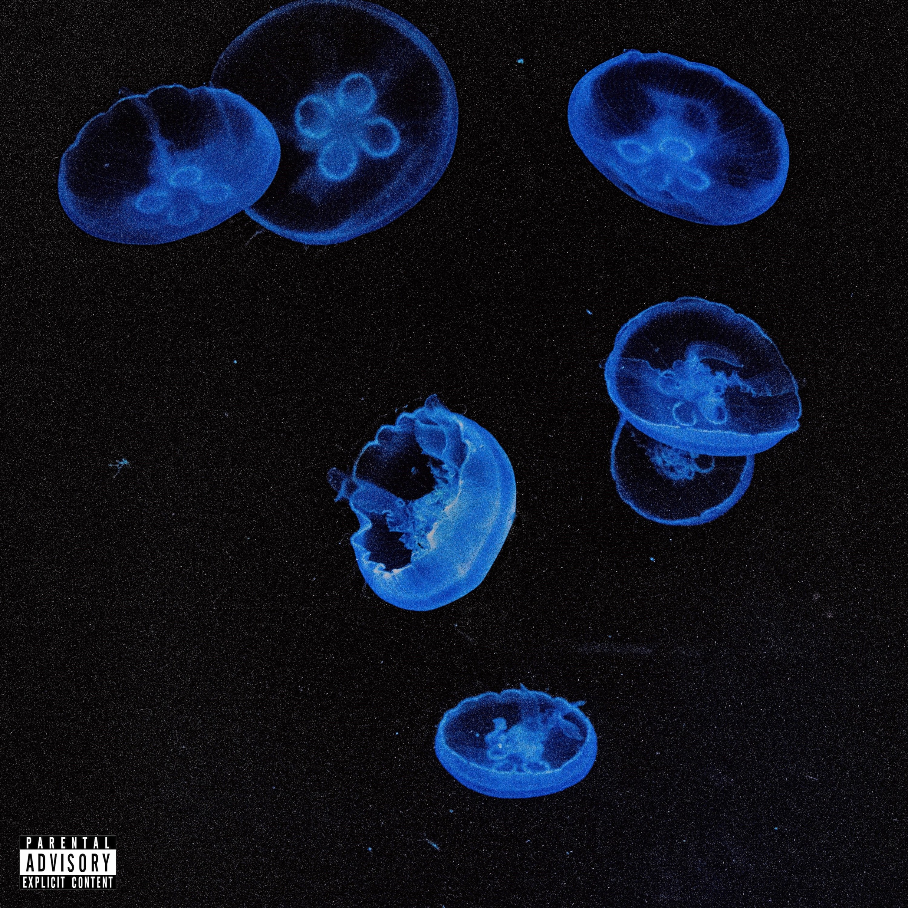 ALL ON ME (feat. RENZO) episode artwork