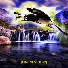 BIRDNEST #22 | *In Deep We Trust*