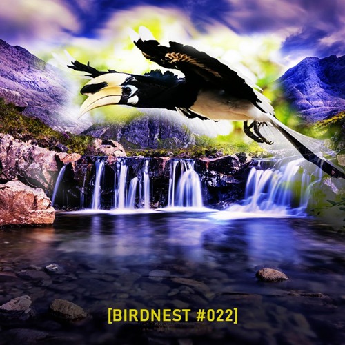 BIRDNEST #22 | *In Deep We Trust*