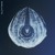 Artwork for Shallots