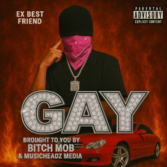 she said im gay