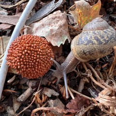 I Talked To My Mom Today