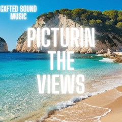 PICTURIN' THE VIEWS