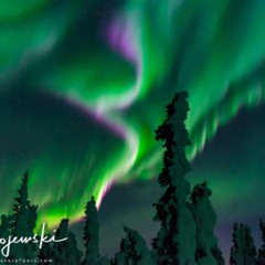 Review Special Price Aurora Viewing - Aurora Husky Lodge  Great View From Top Of The Ridge