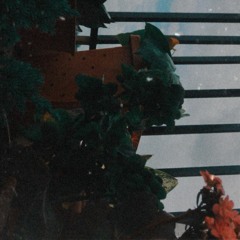NOV20