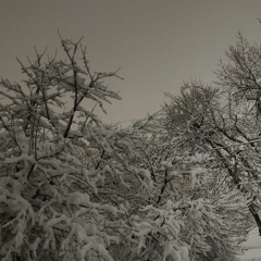 elapse_20230101