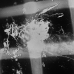 Waiting For Food Jam - *live*