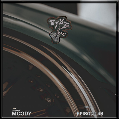 S.F.Y.E. Radio #48 (CEDDJCEE Takeover)