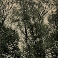 Circle