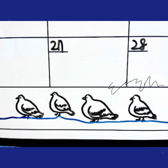 A Plot of Electric Birds