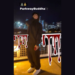 ParkwayBuddha - Get back