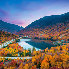 SOMETHING IN THE ORANGE (Cover) Jp Lesp & Joey