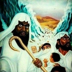 Exodus feat. Zen Bey 13