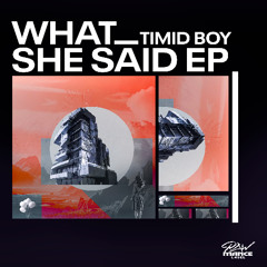 Timid Boy - Submarine (Original Mix)