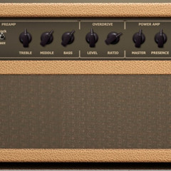 Mr Dumbly sample tone Robben Ford style