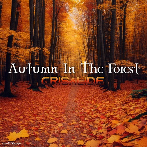 Autumn In The Forest (Original Mix)