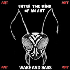 Enter The Mind Of An Ant