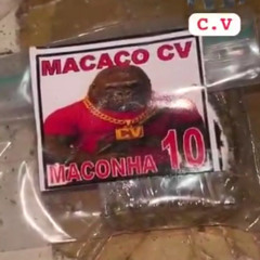 ⛳⛳MC VX =  O MACACO VERMELHOU OS TCPUTA RECUOU ⛳⛳  (CV A BRABA )