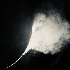 Fragile thoughts