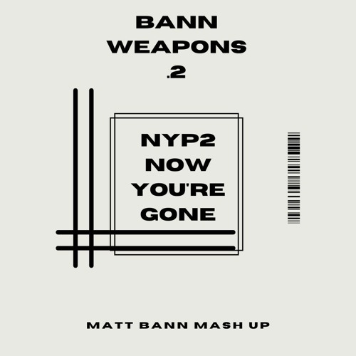BANN WEAPONS .2 - NYP2 NOW YOU'RE GONE (MATT BANN MASH UP)