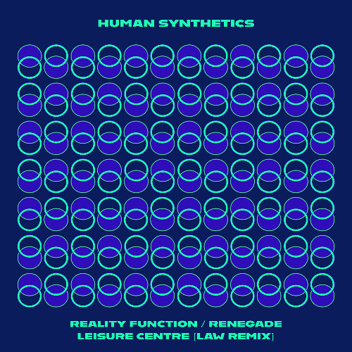 Human Synthetics - Reality Function