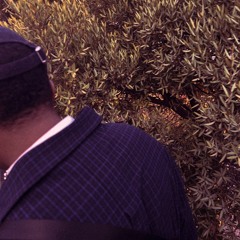 1 minute sample(freestyle)