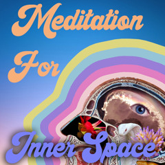 Meditation For Inner Space