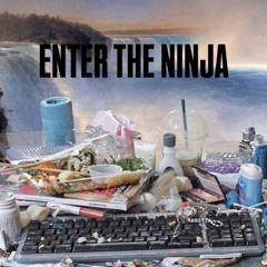 Enter the ninja cover