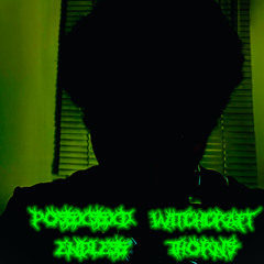 1.  my friends are dead because of all of you