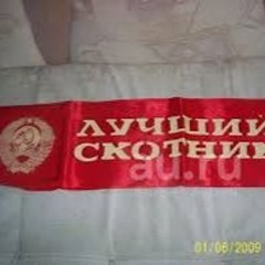 ZK ANNE