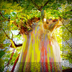 TERMINUS ⛧ [Unpolished]