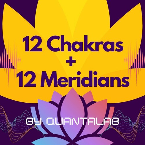 12 Chakras + 12 Meridians_dwell180-sine-576kHz.flac