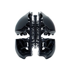 Introspection Illusion