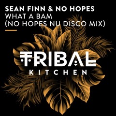 What a Bam (No Hopes Nu Disco Extended Mix)