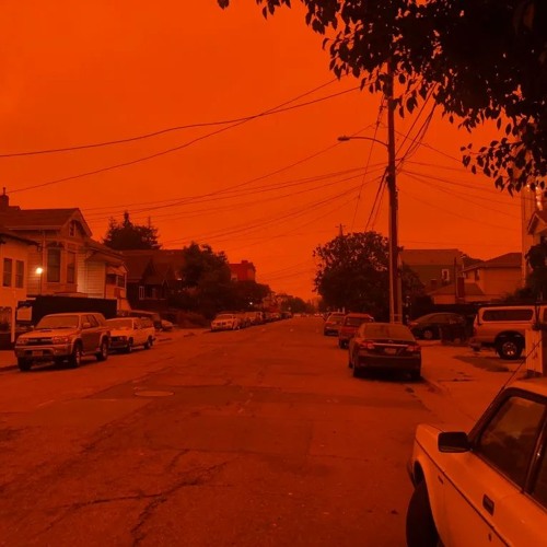 Palm Groove 1 (rough Mix 2)