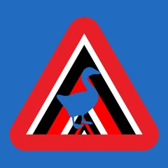 Seven Nation Army But It's All Geese